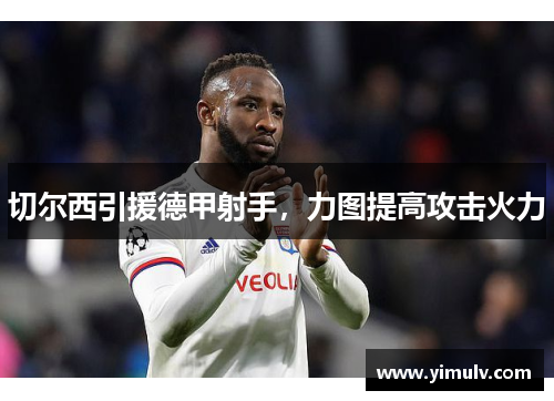 切尔西引援德甲射手，力图提高攻击火力