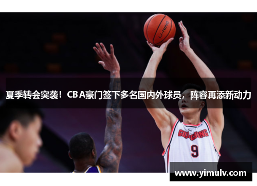 夏季转会突袭!CBA豪门签下多名国内外球员,阵容再添新动力