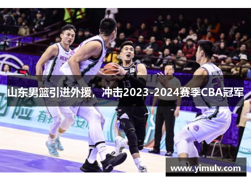 山东男篮引进外援,冲击2023-2024赛季CBA冠军